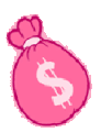 Unused Pink Money Bag